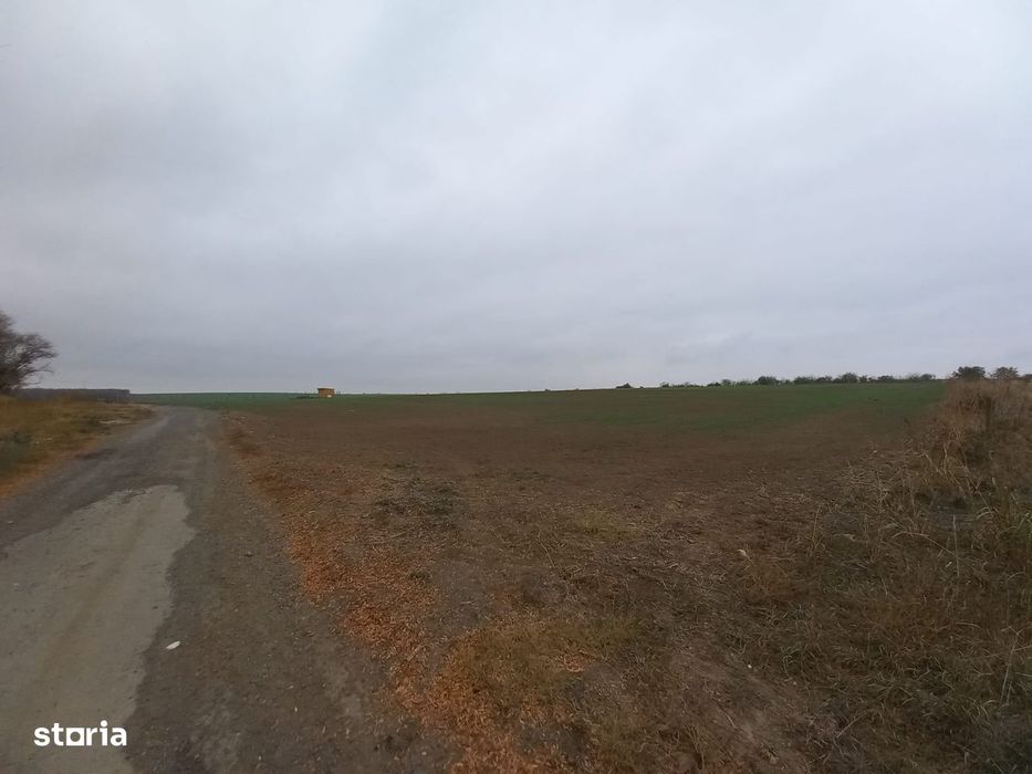 Teren de vanzare in Valu Lui Traian, Cartierul Nou - 403 mp