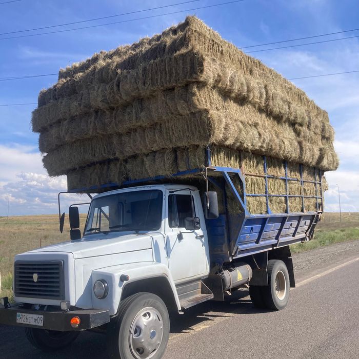 Сено в тюках и в рулонах.