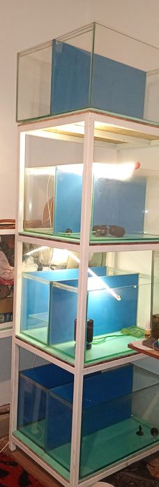 Raft și acvarii pentru pești