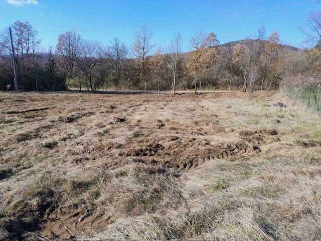 Продава се Парцел в с. Дръмша, Област София-област - 1000 кв.м за 55 €/кв.м - Снимка #3