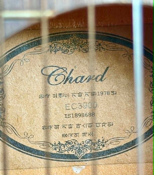 Китара Chard EC390 със стойка