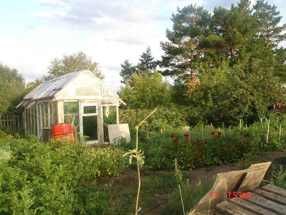 Две  дачи Чапаева