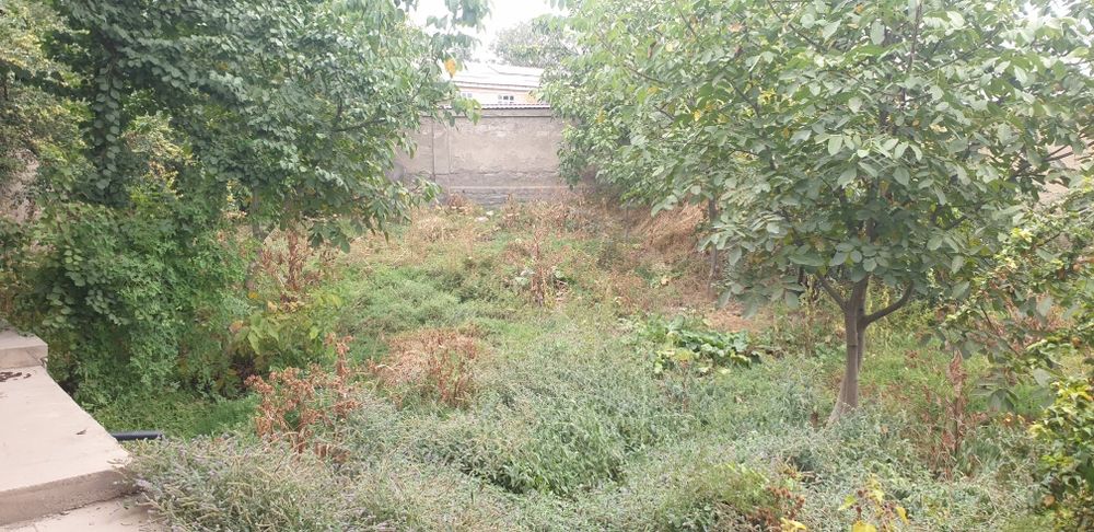 Oqtosh hovli yer sotiladi