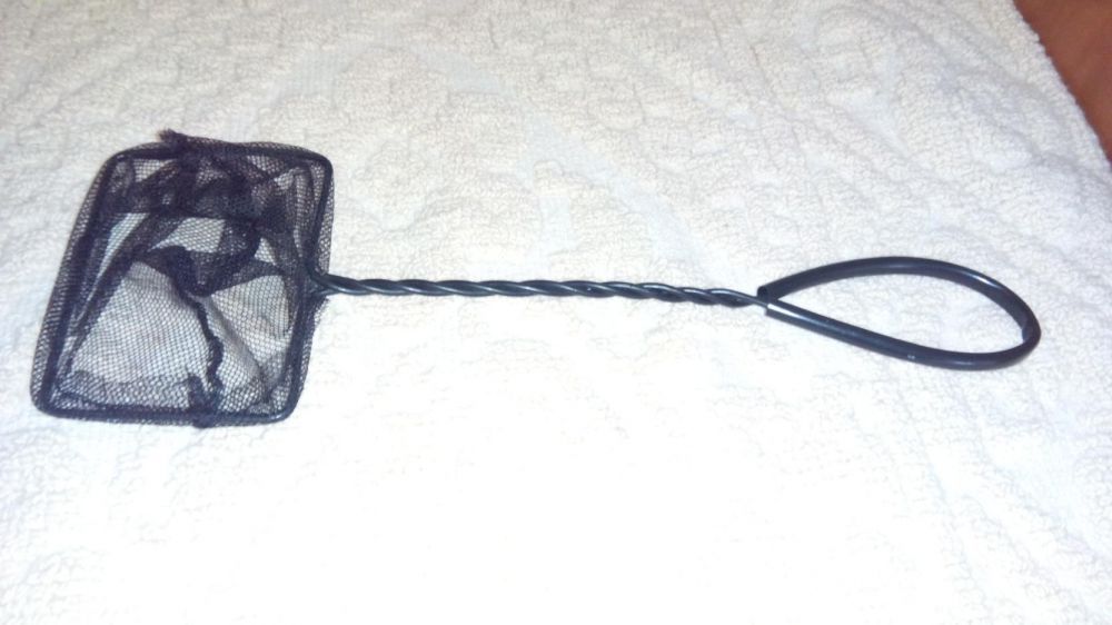 Minciog acvariu pesti (2 buc)