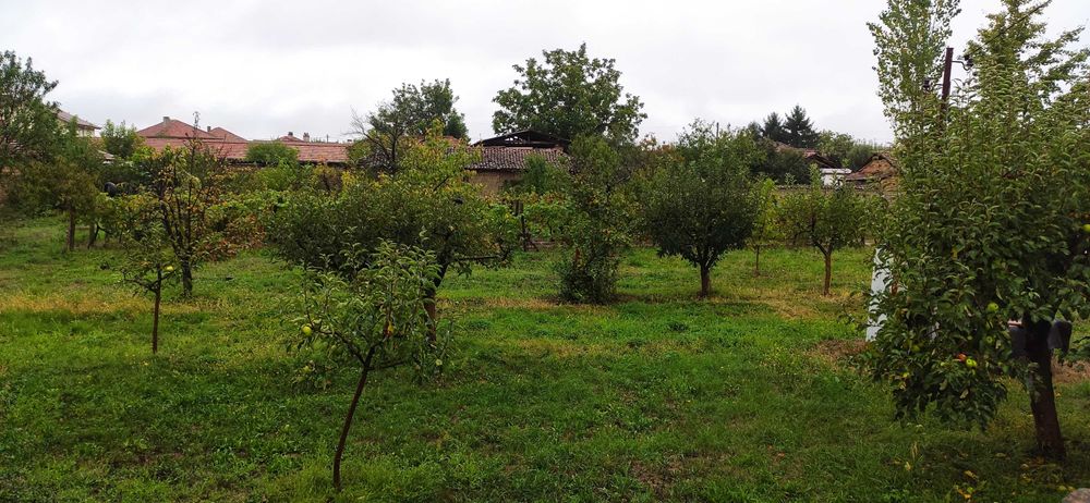 Продава се Парцел в Пловдив, Тракия - 1050 кв.м за 16 €/кв.м - Снимка #2