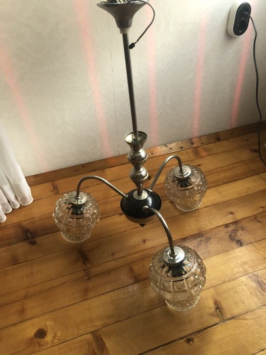 Полилей унгарски