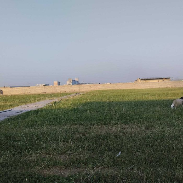 60 сутиклик Ер жой сотилади