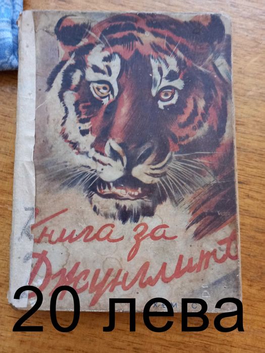 Книги - Детски и други заглавия