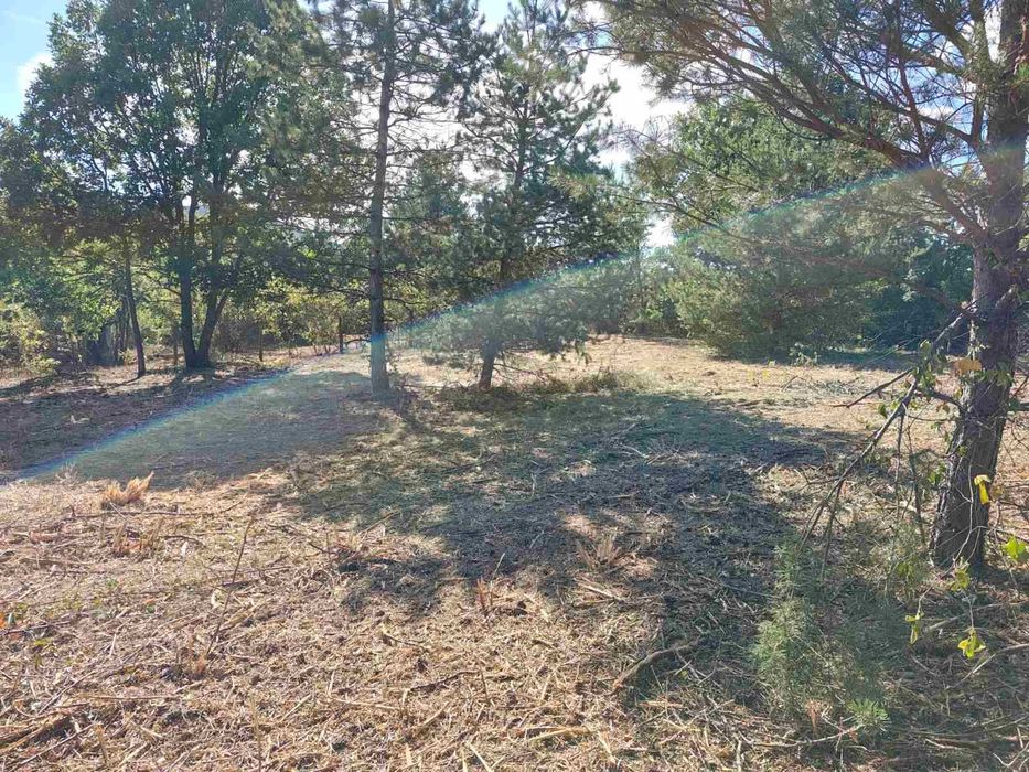 Продава се Къща в Радомир - 34 кв.м за 735 €/кв.м - Снимка #4