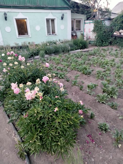 Продажа дома на правом берегу