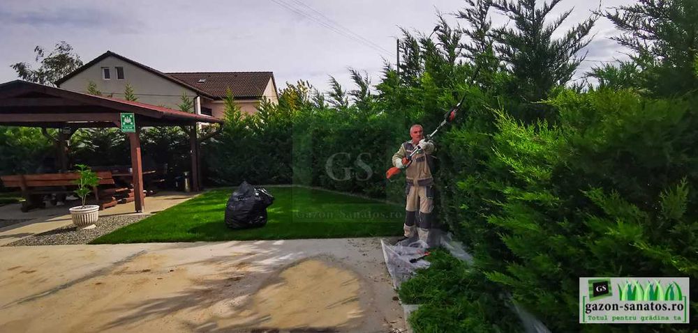 Toaletare pomi fructiferi în Arad