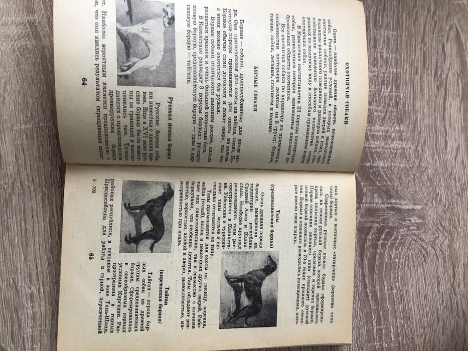 Большая книга охотника