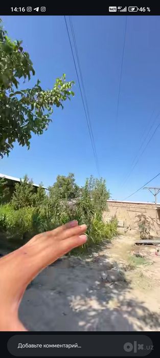 Xovli dacha sotiladi 5 cotik