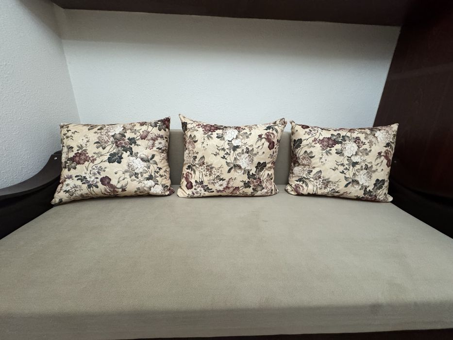 Canapea extensibilă în stare excelentă