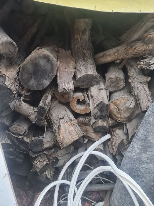 Дрова продам самовывоз.