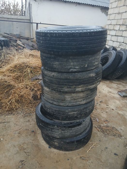 Трал дөңгелектері