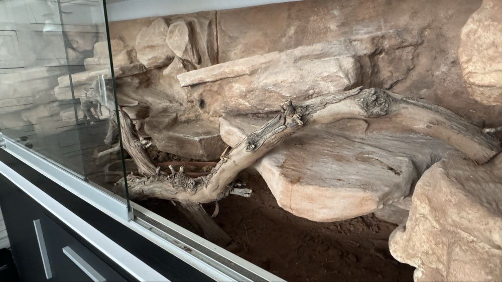 Терариум 480литра + шкаф