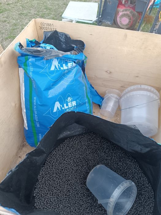 Форель балығы сатылады