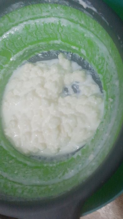 Vând celule kefir lapte Pitești