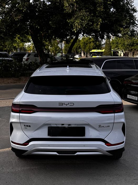 BYD chempion 2025 restaling