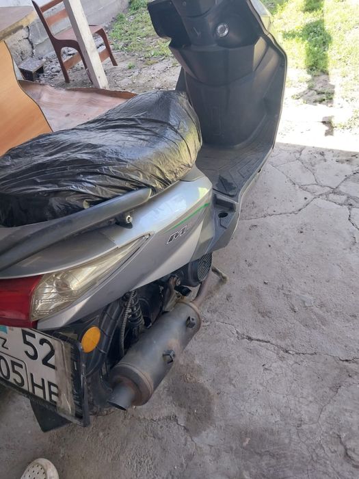 Продам срочно мопед