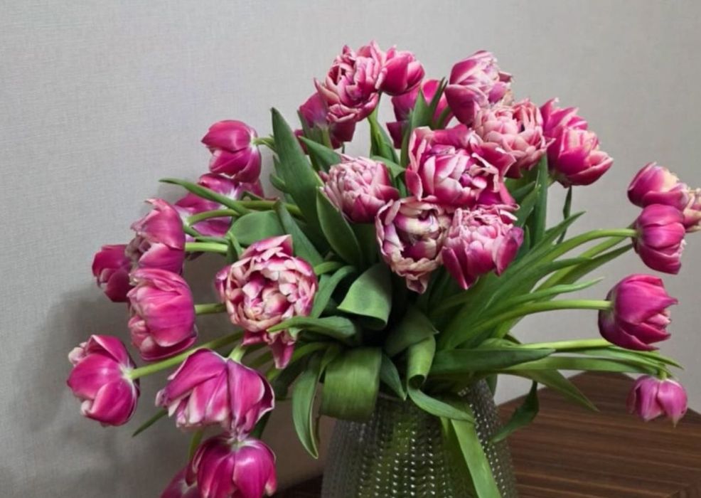 Тюлпаны оптом 400 тг