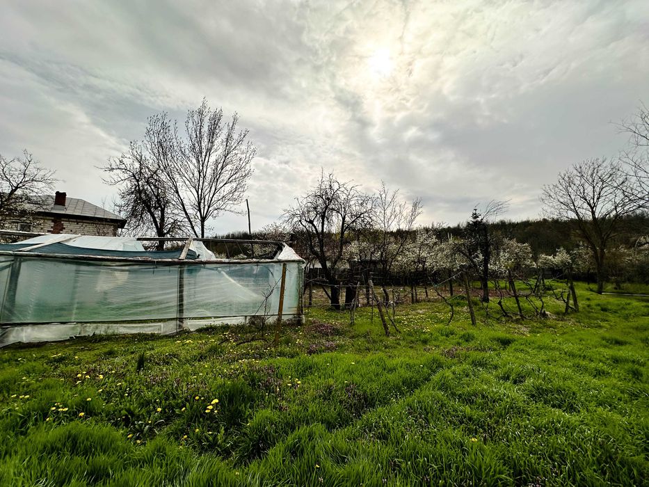 Casă P+1 cu teren 2.470 mp, livadă, anexe și gospodărie completă Mîrțești, Săpata, Argeș