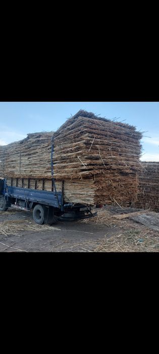 Камыс Камиш Мата