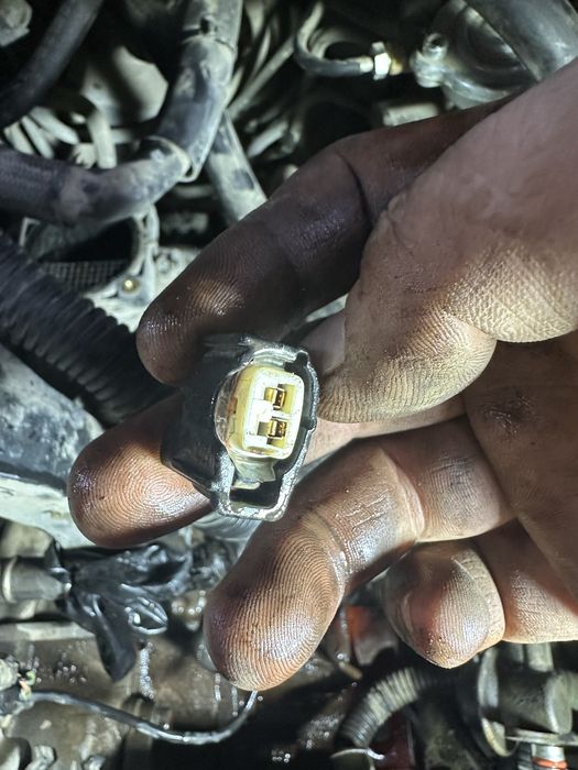 Автоэлектрик и Диагност