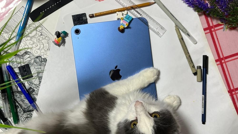 Ipad a16 год 2025  Айпад а16