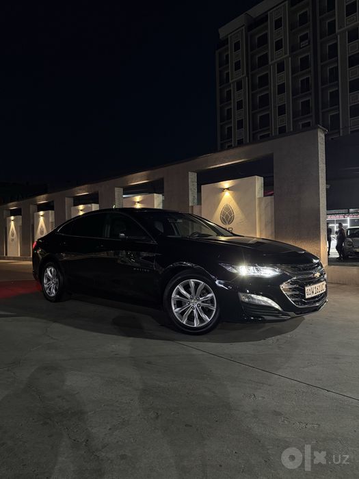 Malibu Premier 2020