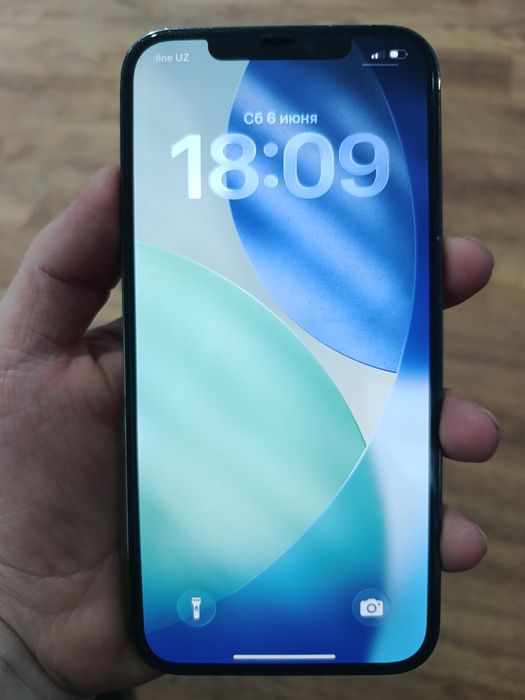 iPhone 12 Pro Max
