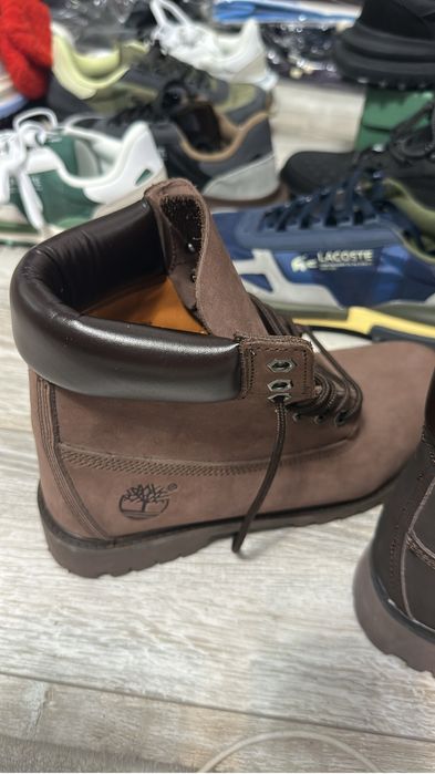 Тимбеленды , Лакосте