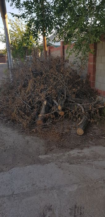 Дрова бесплатно самовывоз