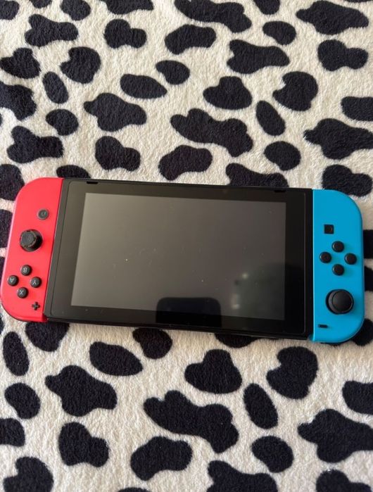 Nintendo switch standard