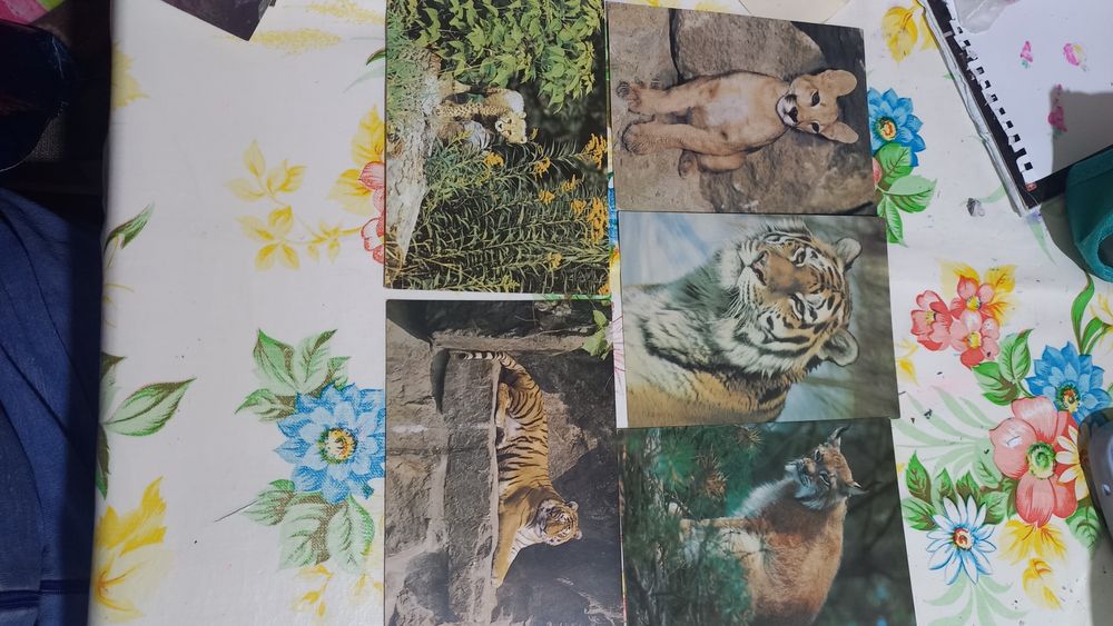 Советские открытки новые