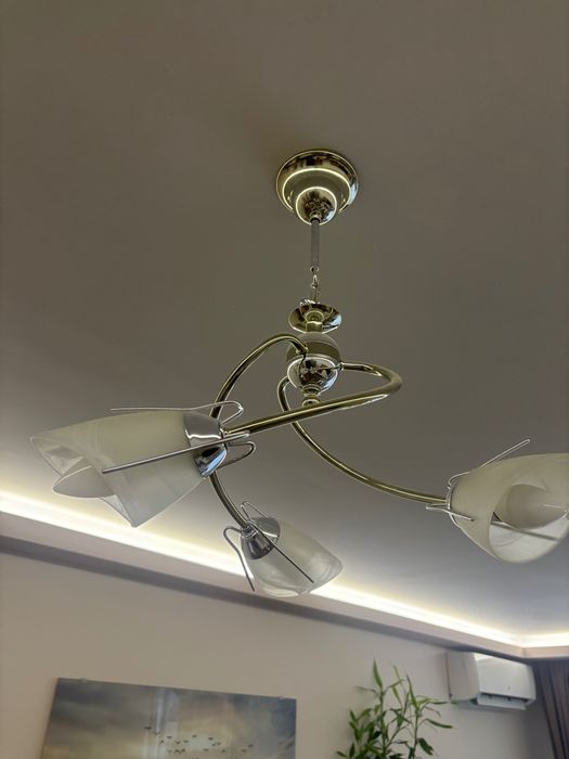 Два броя полилеи