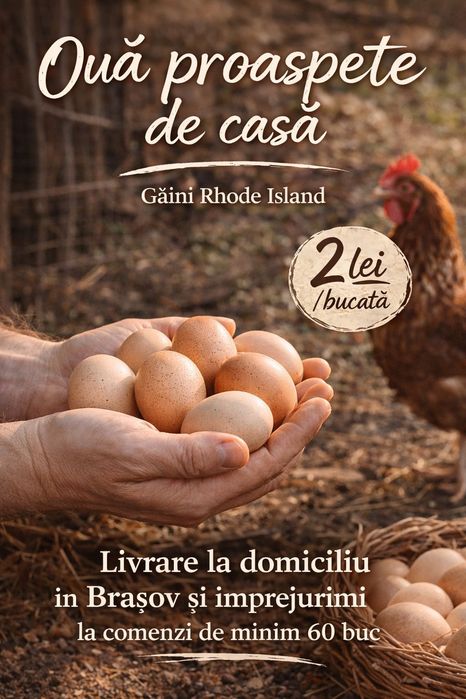 Vindem oua proaspete de țară 2 lei/buc