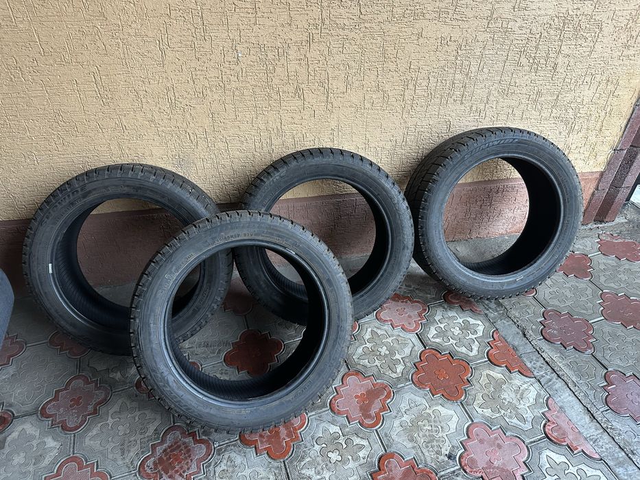 Болоный   зимний