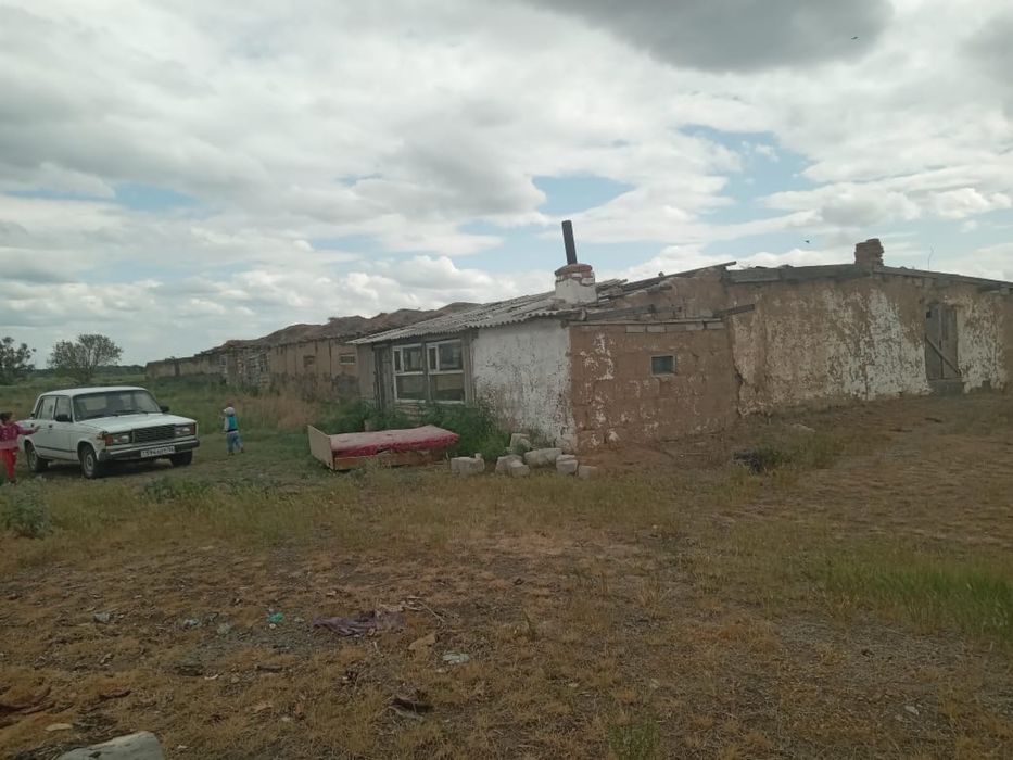 продам фермерское хозяйство