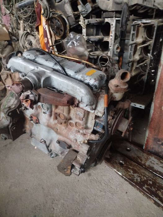 Mator balcankarni matori