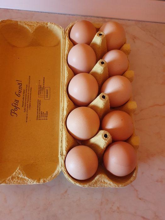 Vand oua pentru consum 100%bio