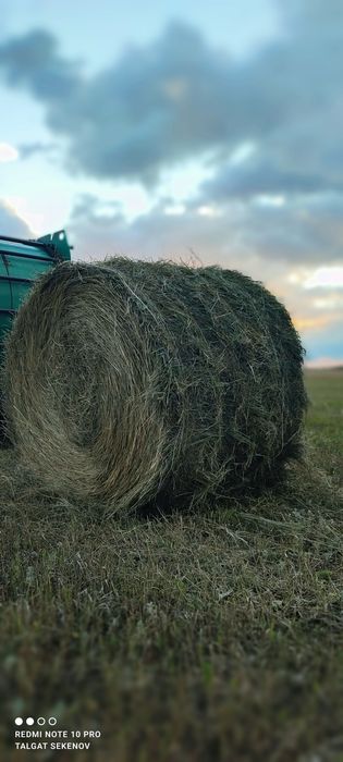 Сено отличного качества