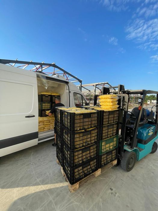 Cartofi proaspeti si legume vidate, cartofi curatati si legume curatat