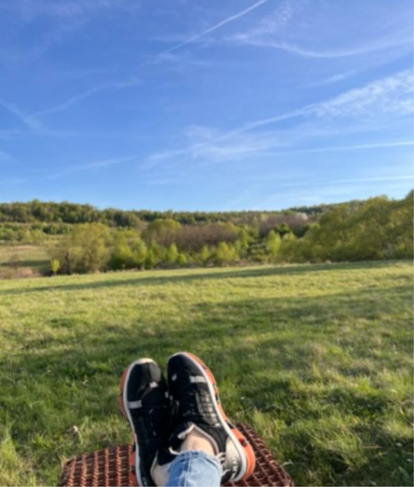 Teren extravilan întabulat Baciu