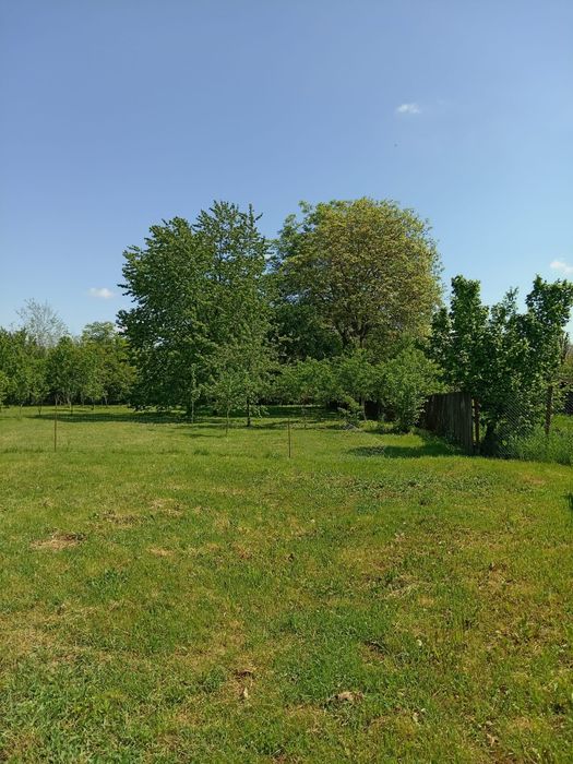 Vând casă batraneasca cu 1700mp