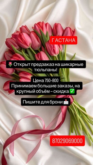 Тюльпаны цена 400 предзаказ город Астана