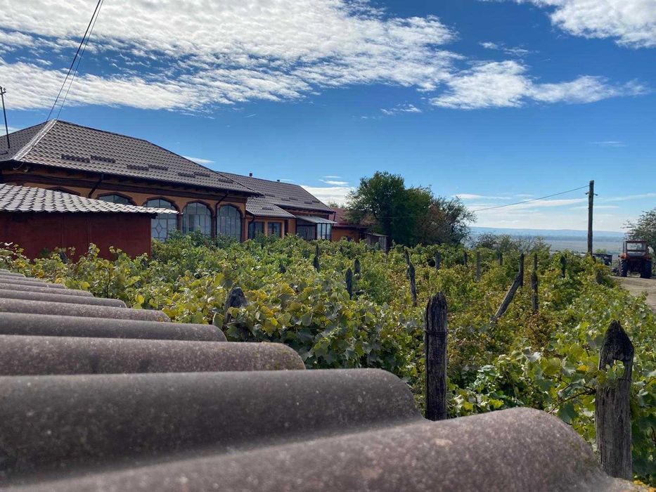 Casa de vanzare in Fântânele