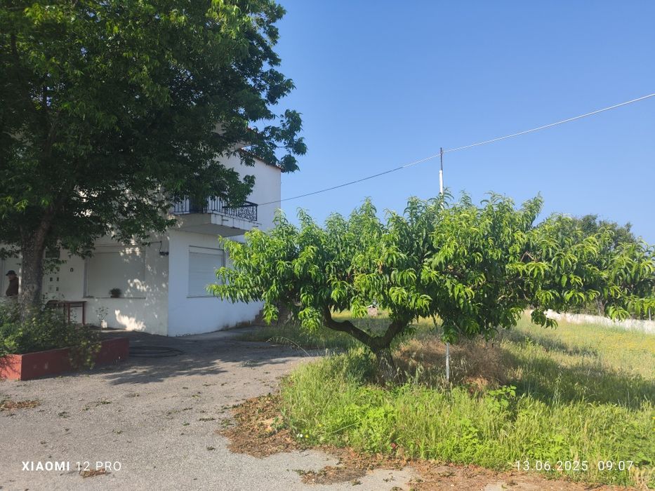 Индустриален имот