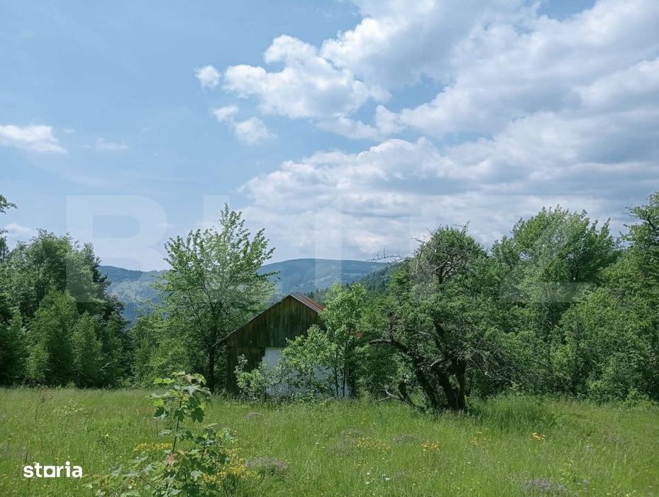Teren intravilan de vanzare, 30.121 mp, Trancesti, Scarisoara